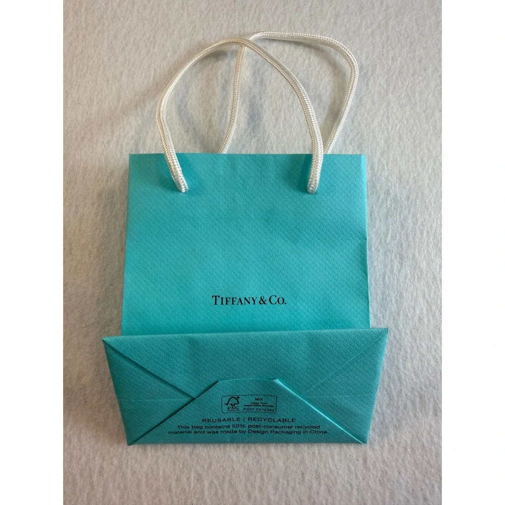 Tiffany & Co Blue Paper Gift Bag and Drawstring Jewelry Pouch Set